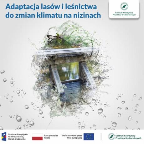 Kompleksowego projektu adaptacji lasów i leśnictwa do zmian klimatu